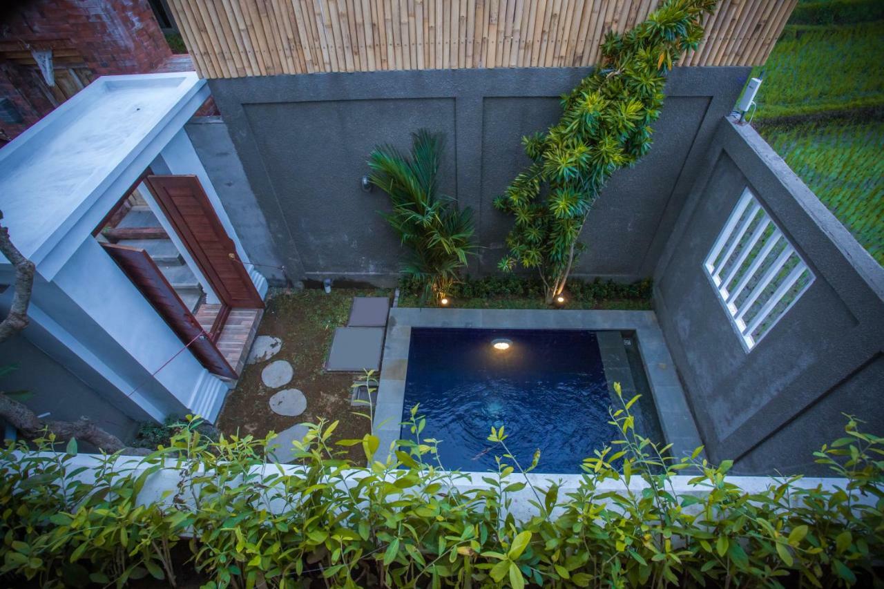 Villa Safeer Чангу Экстерьер фото